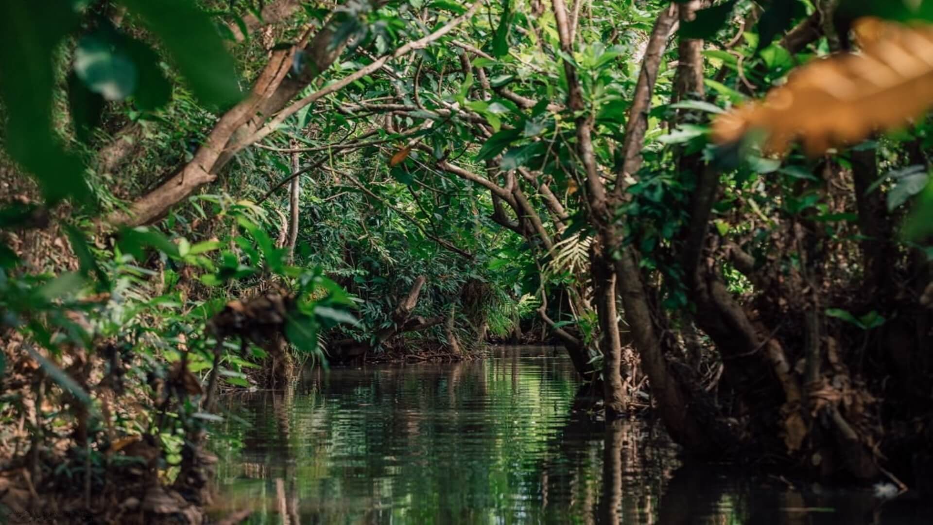 Réserve de Nahampoana