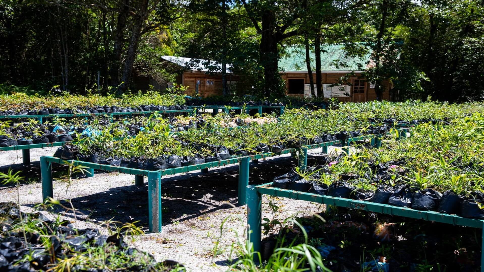 Zone de conservation