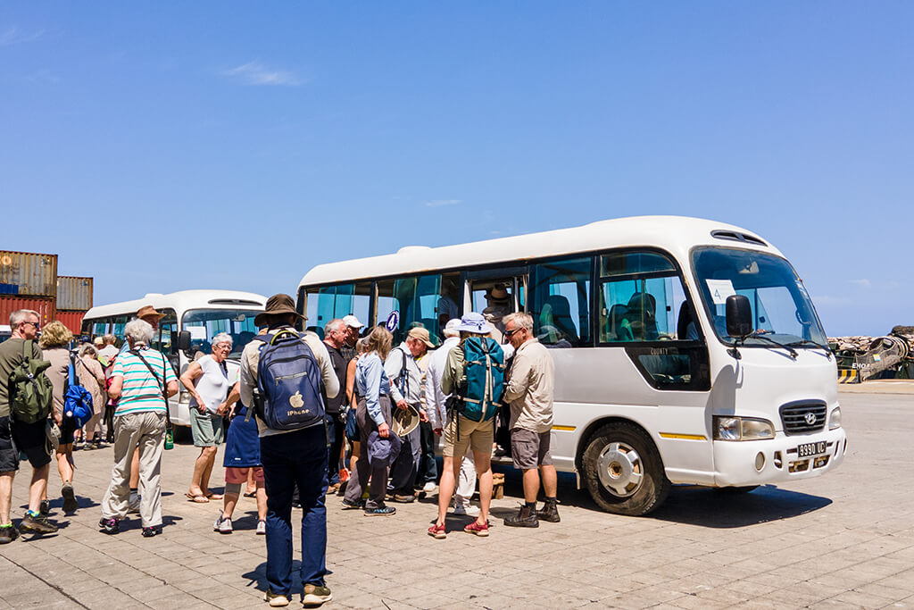 Bus